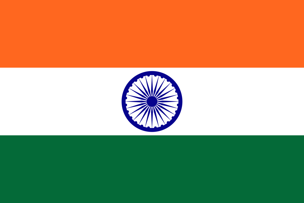 India Flag logo